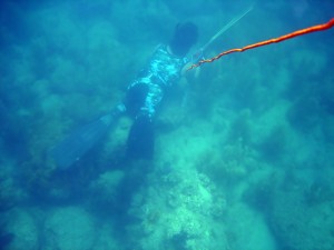 Miami Spearfishing